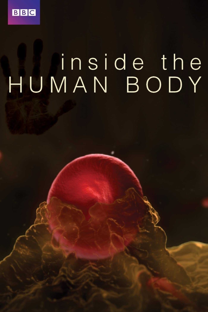 Inside the human body preferred
